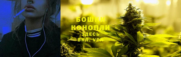 стаф Беломорск