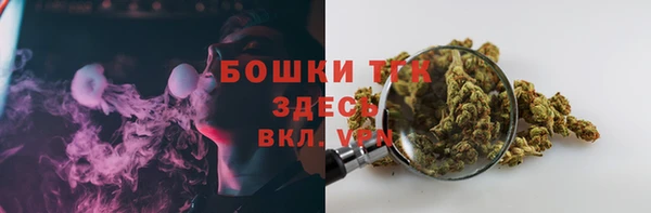 крисы Белокуриха