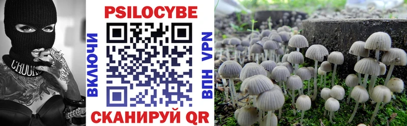 Галлюциногенные грибы Cubensis  kraken как войти  Соль-Илецк 