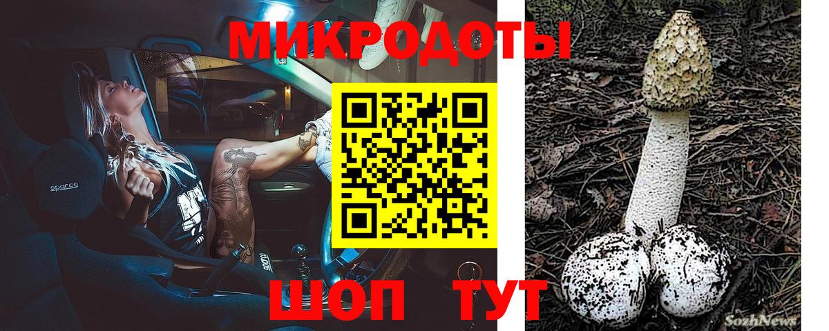 купить наркотики сайты  Вход с VPN  Соль-Илецк  Галлюциногенные грибы Psilocybine cubensis 